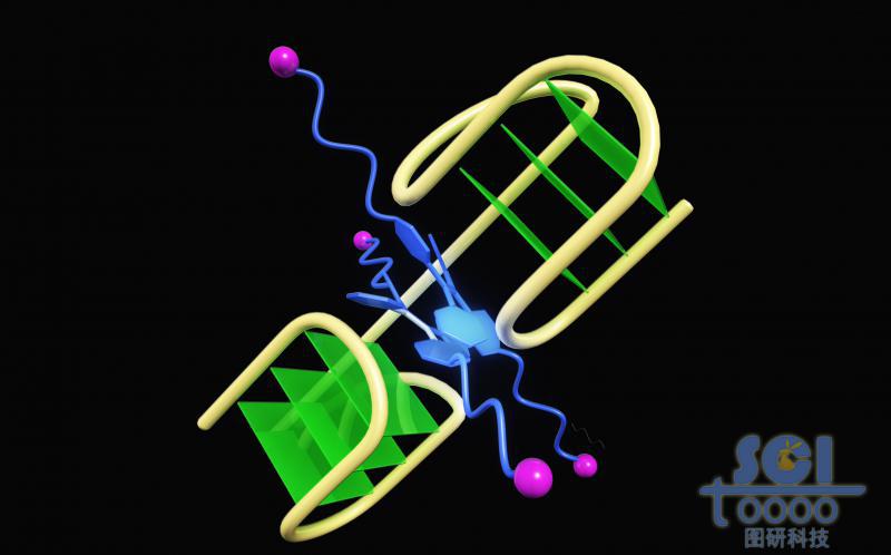 折疊的G4RNA中間夾帶小分子