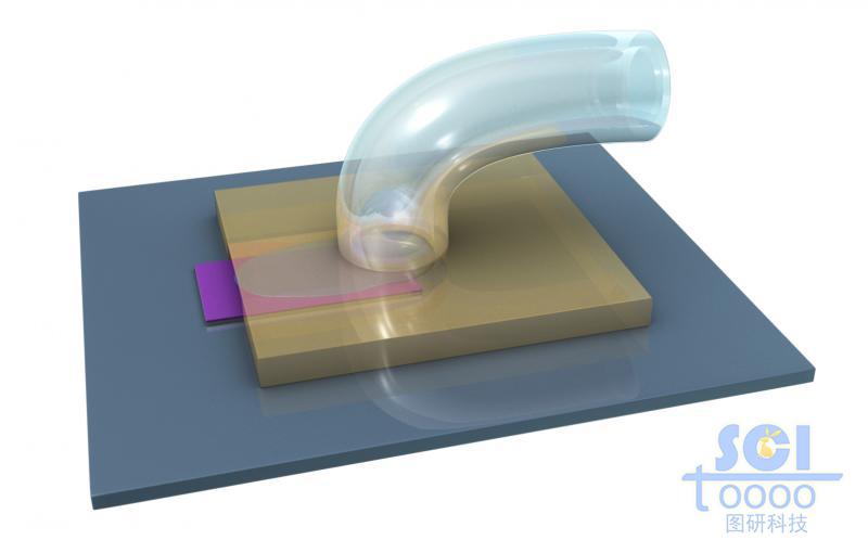 液體灌注微型裝置