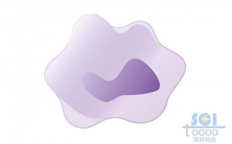 單體細(xì)胞/巨噬細(xì)胞