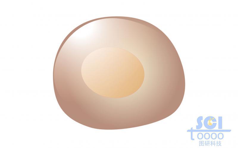 單體細胞/淋巴樣干細胞