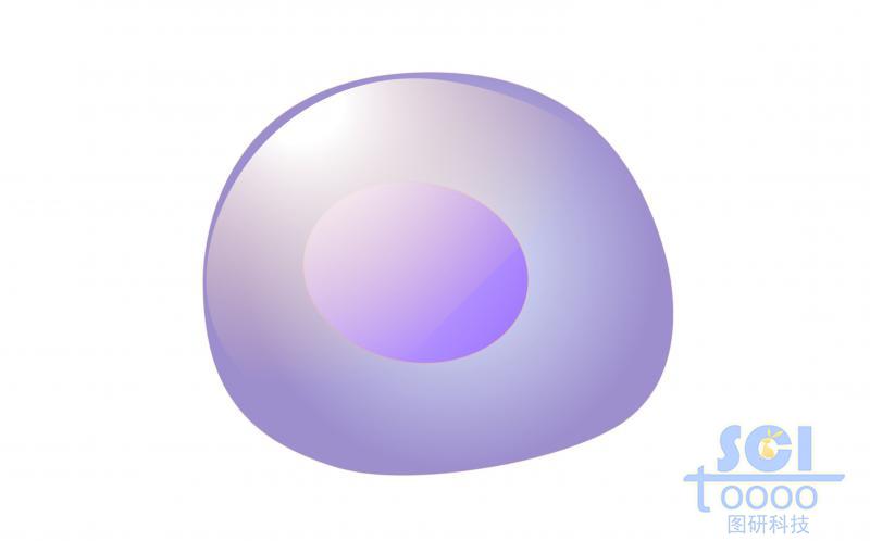 單體細胞/后祖B細胞