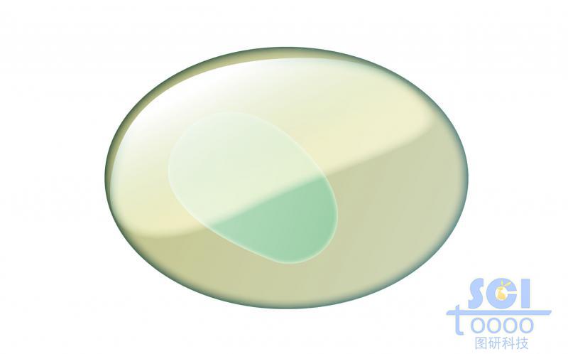 單體細(xì)胞模式圖