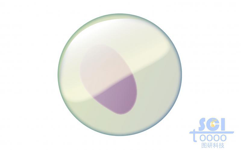 單體細(xì)胞模式圖