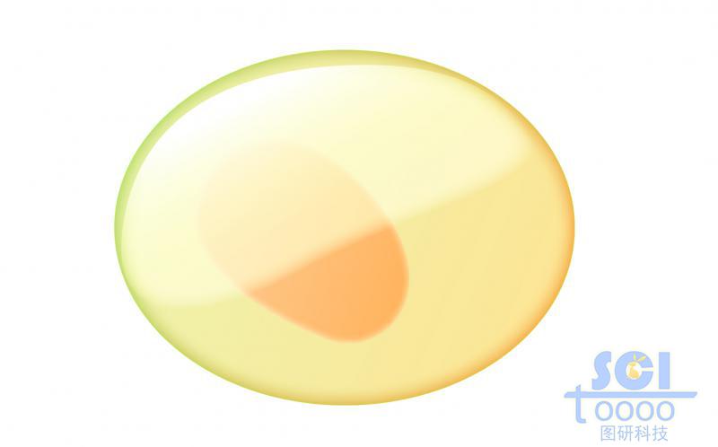 單體細(xì)胞/造血干細(xì)胞