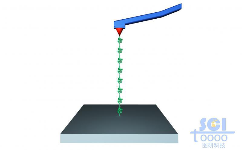 原子力探針與高分子鏈段