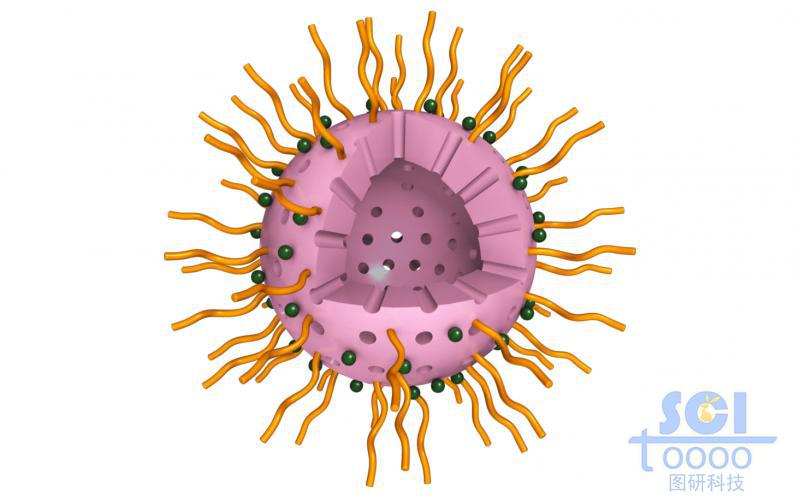 外層修飾高分子鏈段，表面鑲嵌有機基團的介孔二氧化硅中空球