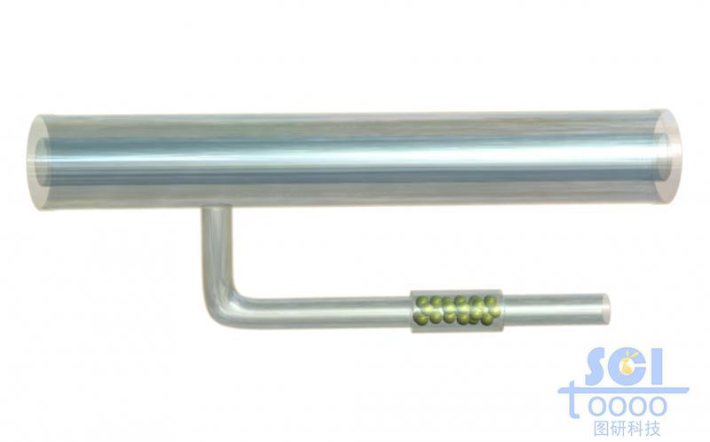 帶分支的微管柱