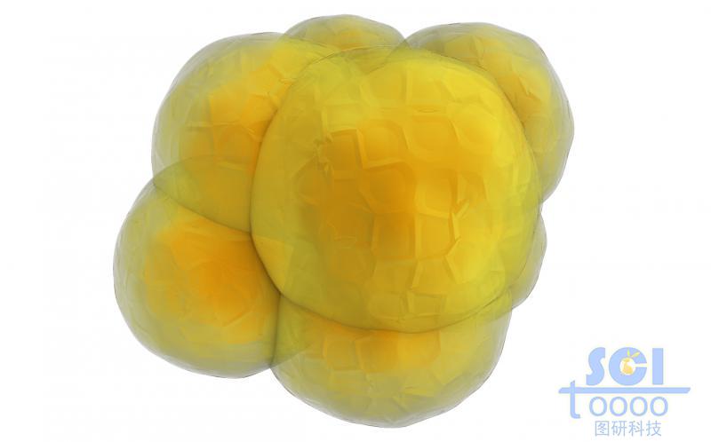 多個細胞堆積的細胞團/腫瘤示意