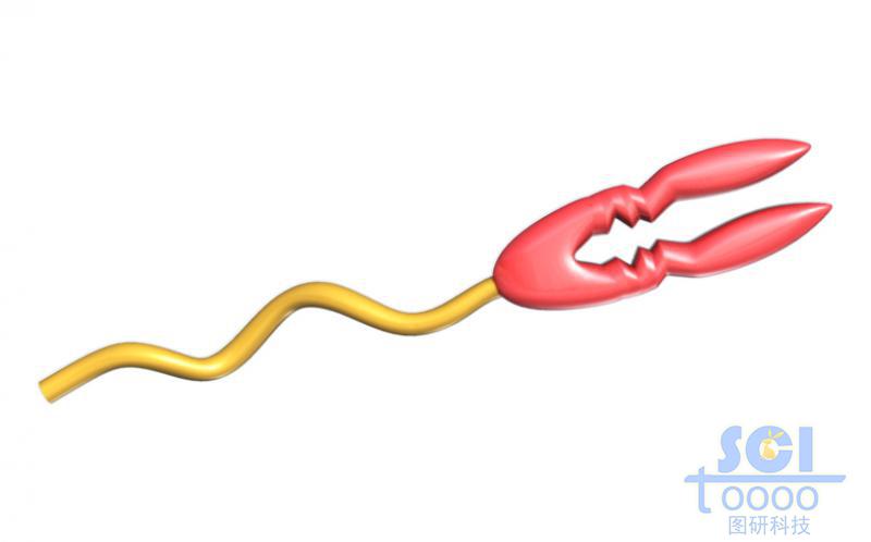 帶功能基團(tuán)的高分子鏈段模式圖/靶頭