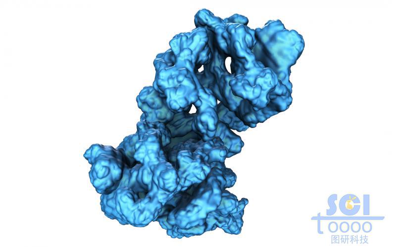 蛋白質(zhì)結(jié)構(gòu)