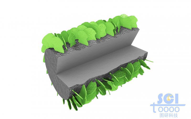 金屬的還原態(tài)