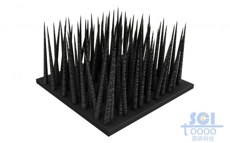 帶有毛刺的碳布