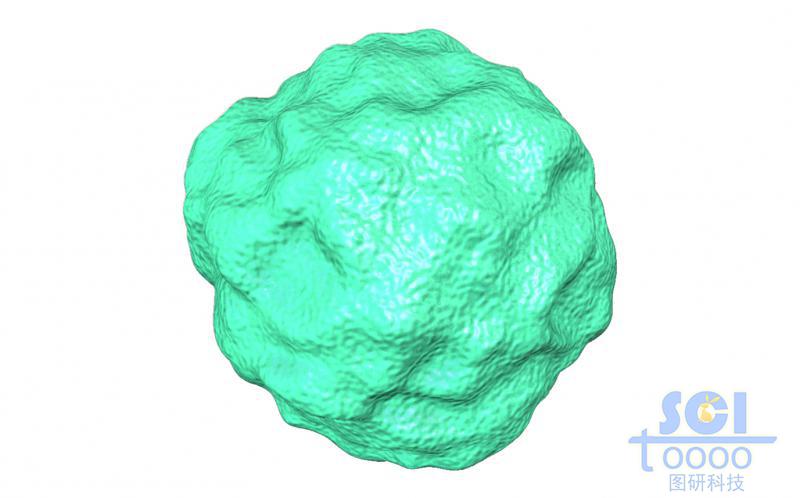 無具體特征的通用性病毒/細胞