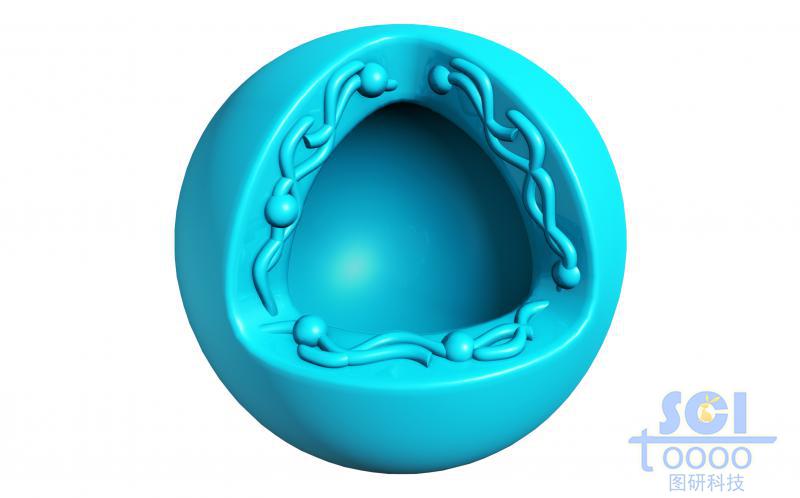 高分子鏈段纏繞形成的空心納米球殼