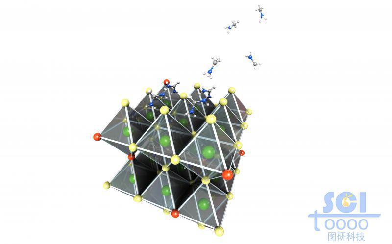 表面帶有分子的八面體晶體結(jié)構(gòu)陣列