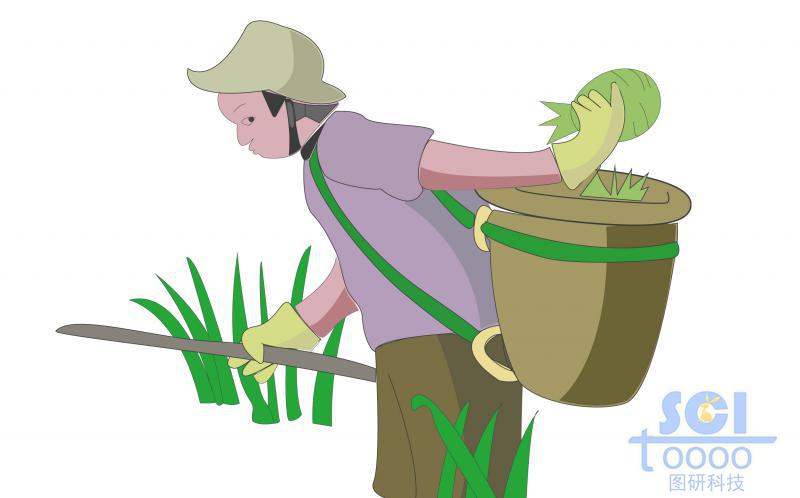 田中耕作的農(nóng)夫