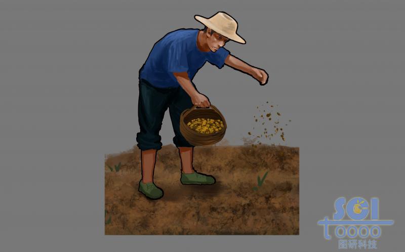 田中耕作的農(nóng)夫