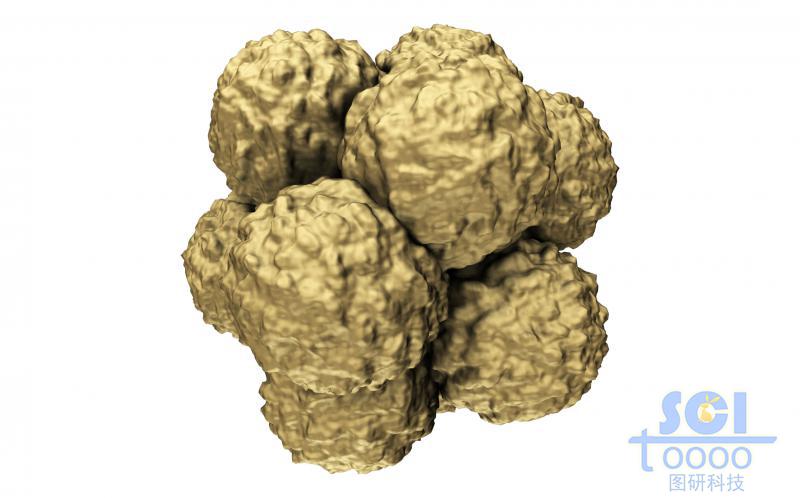 多個細胞堆積的細胞團/腫瘤示意