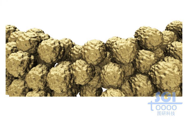 多個細胞堆積的細胞團/腫瘤示意