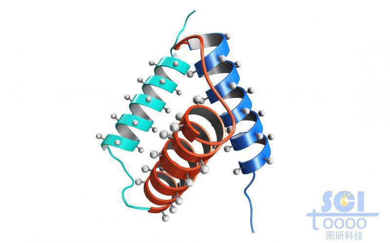 蛋白質(zhì)結(jié)構(gòu)