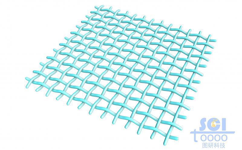 縱橫交錯的網(wǎng)狀膜結(jié)構(gòu)