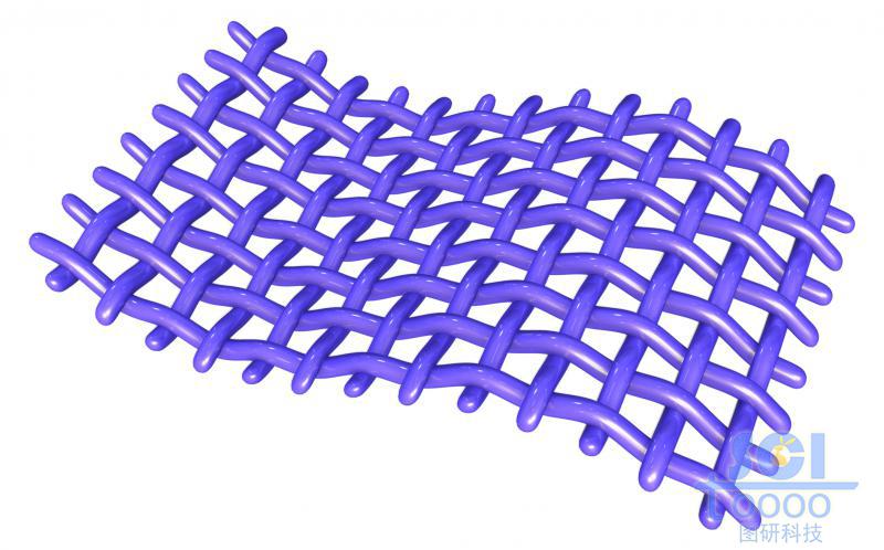 縱橫交錯的網(wǎng)狀膜結(jié)構(gòu)
