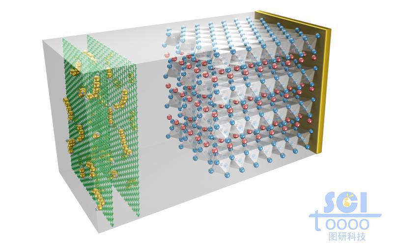 電池結(jié)構(gòu)