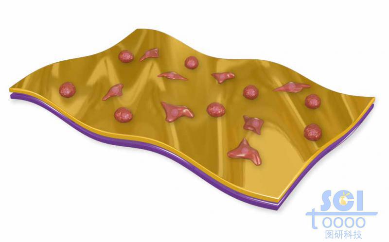 金屬基底板粘附有機(jī)物