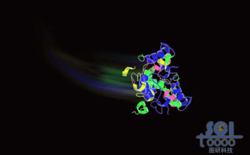 蛋白質(zhì)結(jié)構(gòu)