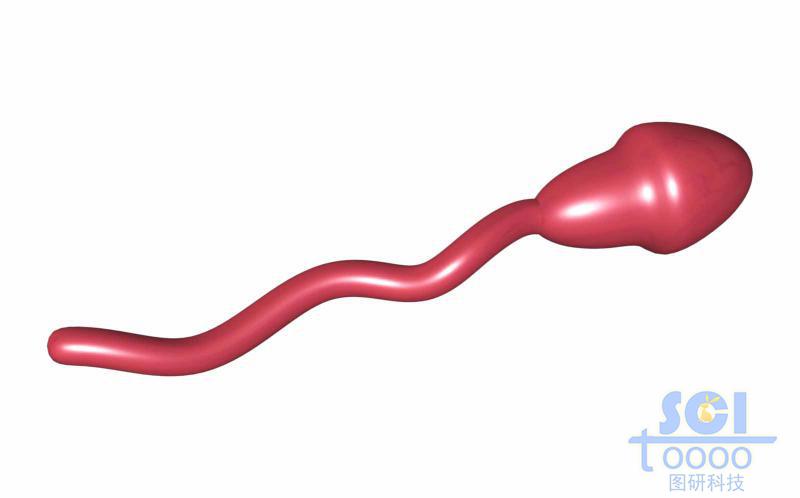 高分子鏈段與靶頭/分子模式圖/單體結構