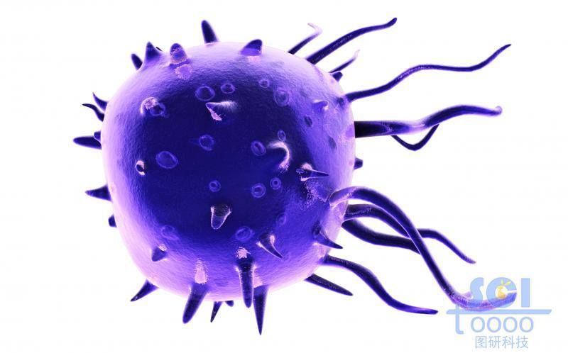 活化帶觸角的單個細胞