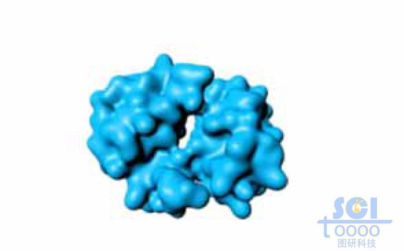 蛋白質(zhì)結(jié)構(gòu)