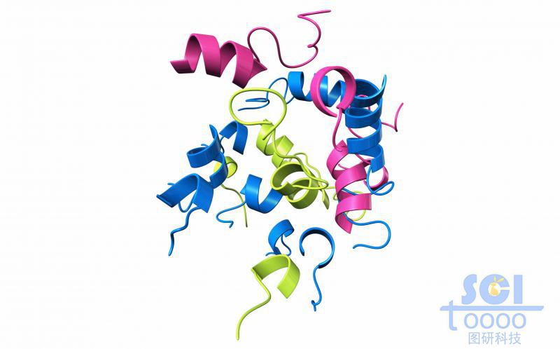 蛋白質(zhì)、蛋白結(jié)構(gòu)