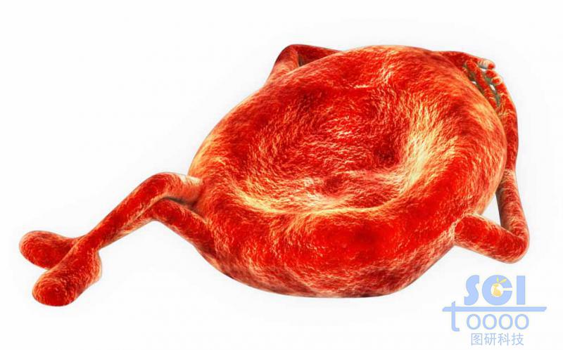 卡通的血紅細胞