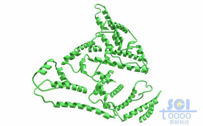 蛋白質(zhì)結(jié)構(gòu)