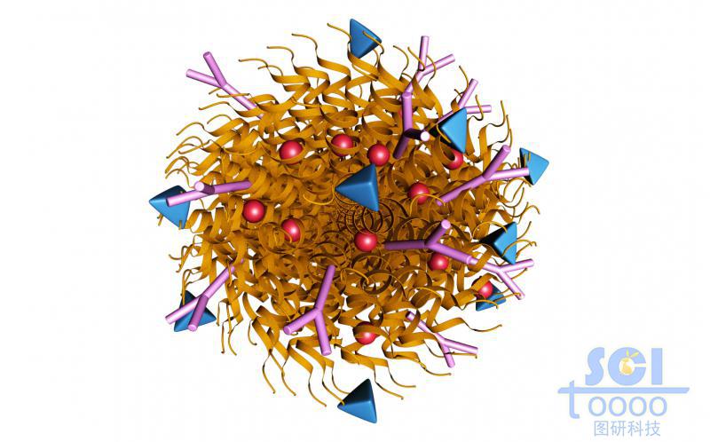 帶靶向臂的藥物納米球