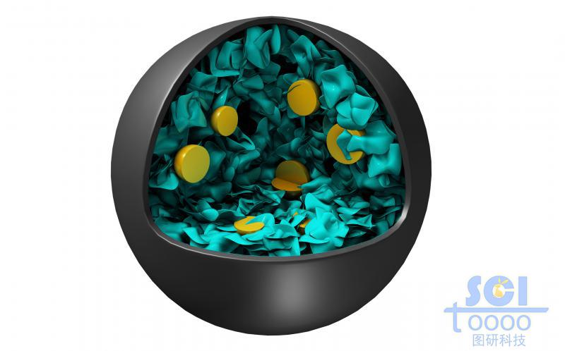 石墨烯和顆粒剖面圖