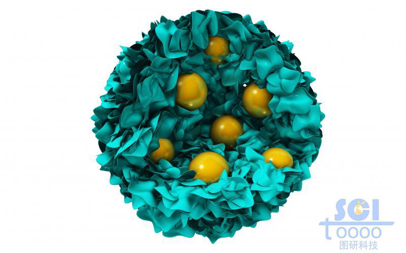 不加氧化物的包裹顆粒結(jié)構(gòu)