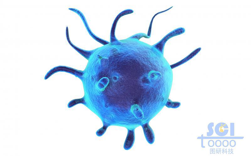 活化帶觸角的單個細胞