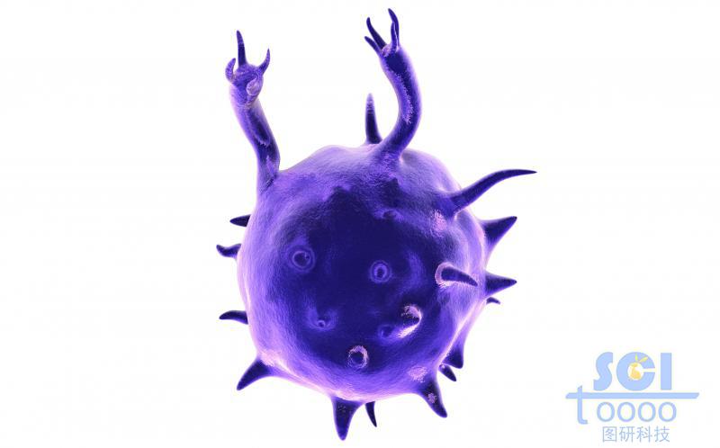 活化帶觸角的單個細胞